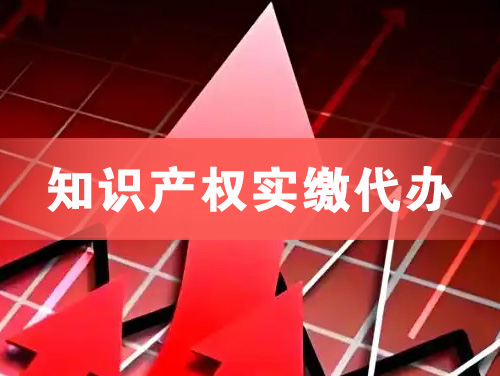 昌吉知识产权实缴资本代办